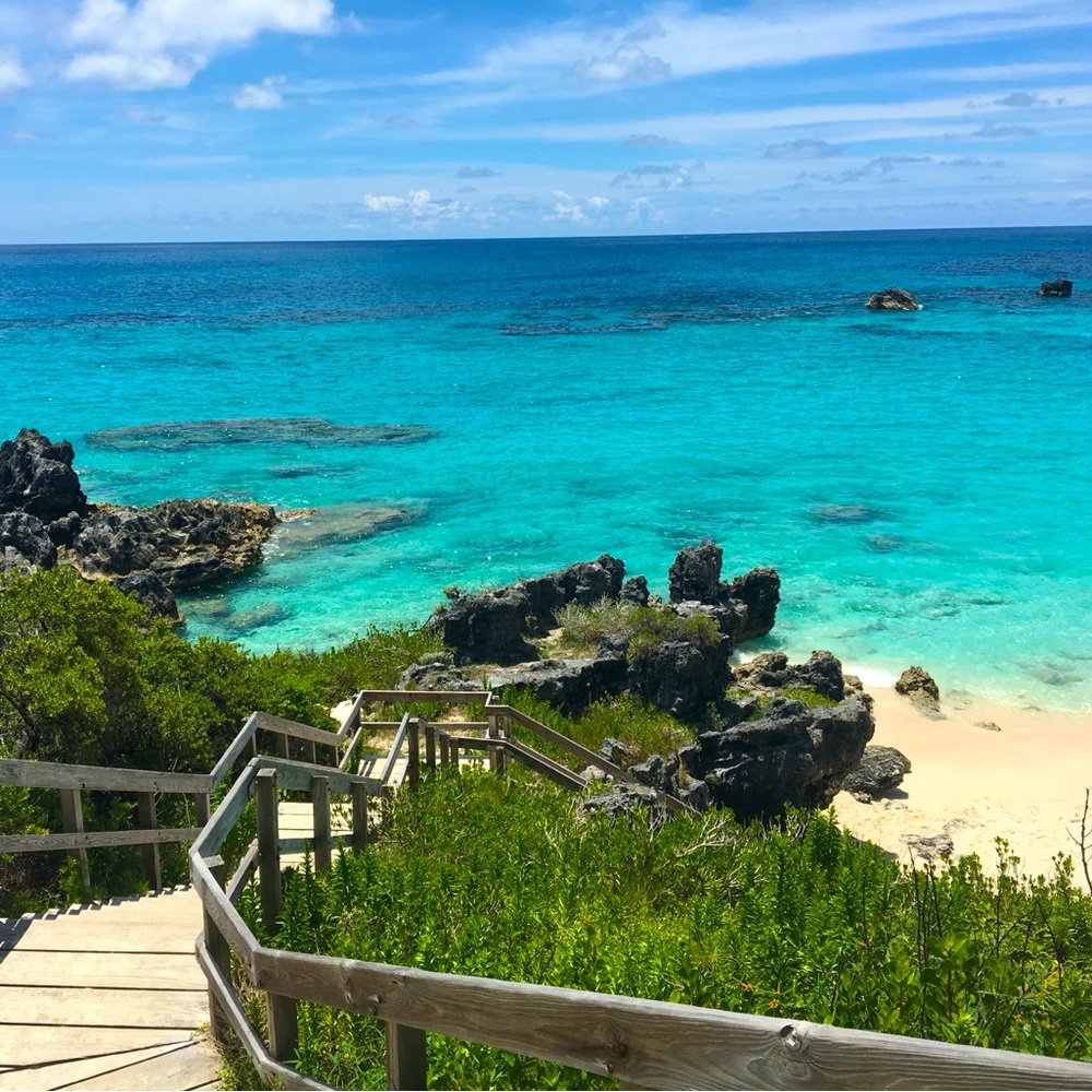 Meet your Posher, Gracee